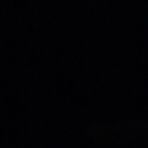 Meet your Posher, Autumn